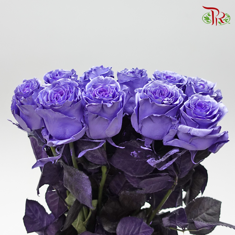 Ceres Rose - Pearl Lavender (10 Stems)-Ecd-prflorist.com.my