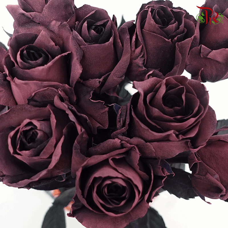 Ceres Rose - Prune Amethyst (10 Stems)-Dusty Vintage Purple-Ecd-prflorist.com.my