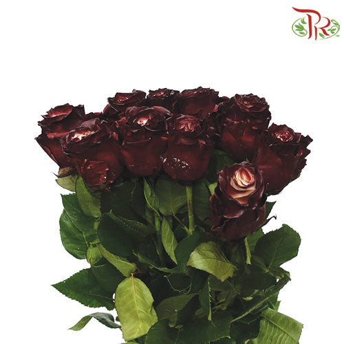 Ceres Rose - Red Wine (10 Stems)-Ecd-prflorist.com.my