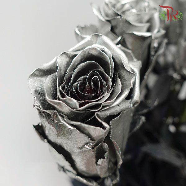 Ceres Rose - Silver (10 Stems)-Ecd-prflorist.com.my