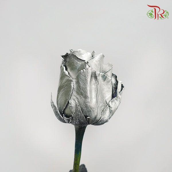Ceres Rose - Silver (10 Stems)-Ecd-prflorist.com.my
