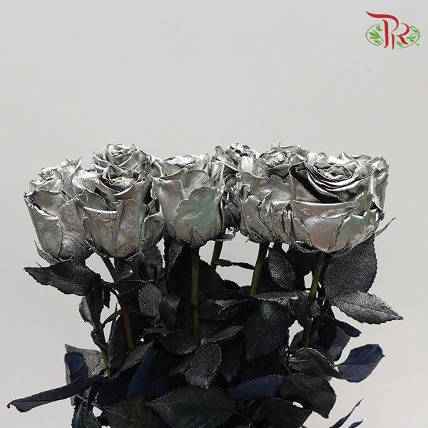 Ceres Rose - Silver (10 Stems)-Ecd-prflorist.com.my