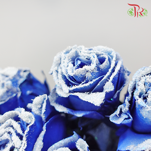 Ceres Rose - Snowy Blue (10 stems)-Ecd-prflorist.com.my