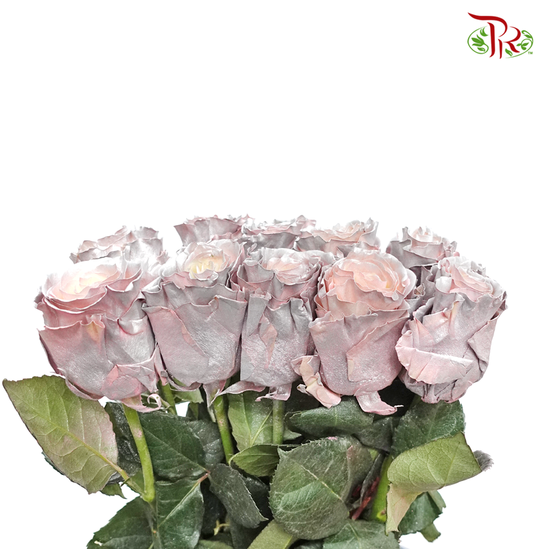 Ceres Rose - Violet Crystal (10 Stems)-Violet-Ecd-prflorist.com.my
