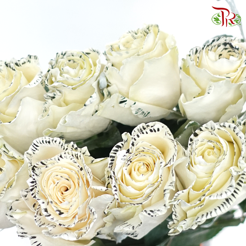 Ceres Rose - Wild White (10 Stems)-Cream White-Ecd-prflorist.com.my