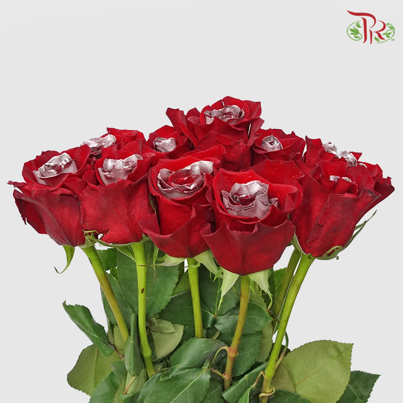 Ceres Rose - Christmas Silver (10 Stems) - Pudu Ria Florist