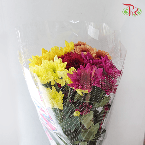 Chrysanthemum Pompom - Random Mix (7 Stems)-Malaysia-prflorist.com.my