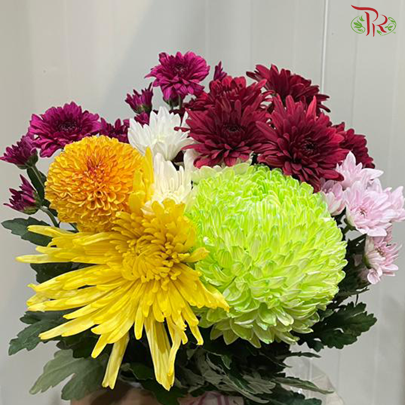 Mixed Chrysanthemum Bunch
