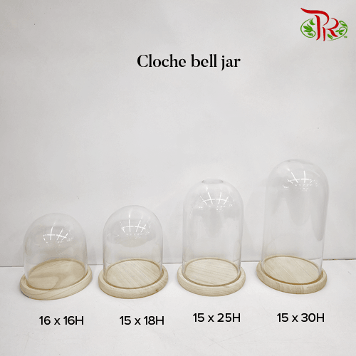 Cloche Bell Jar (320230) - H30 x D15 cm-China-prflorist.com.my