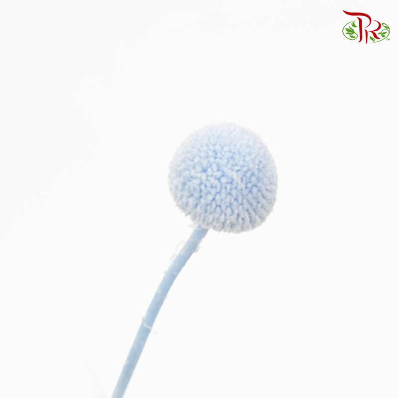 Craspedia Preservative - Snow Blue (Per Bunch)-Snow Blue-China-prflorist.com.my