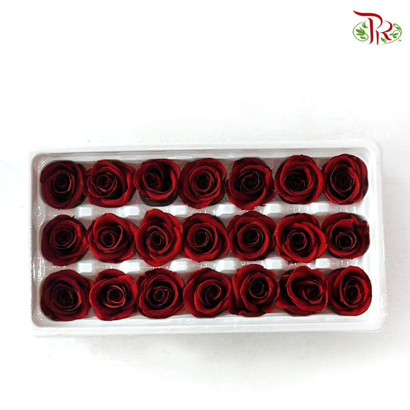 21 Blooms Preserved Rose