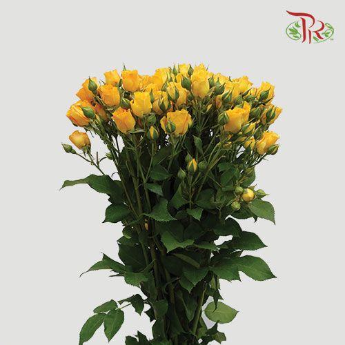 Rose Spray - Yellow (10 Stems) - Pudu Ria Florist