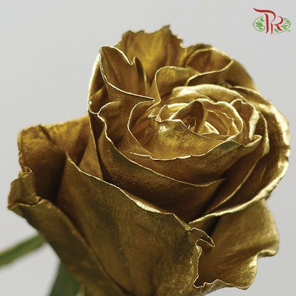 Ceres Rose - Gold (10 Stems) - Pudu Ria Florist