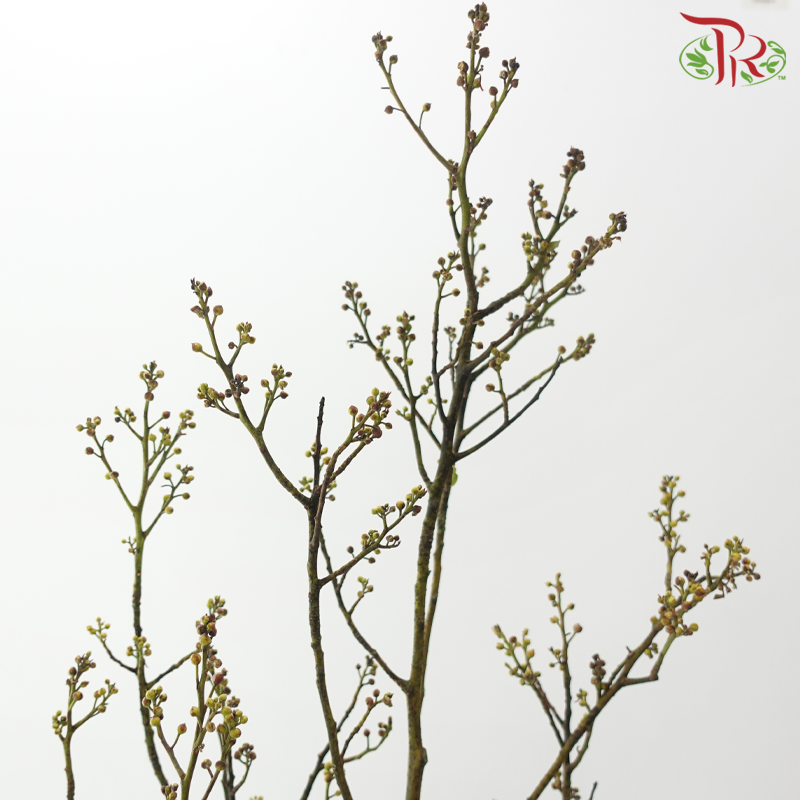 Deng Tai - Green / Red《灯台》-Green / Red-China-prflorist.com.my