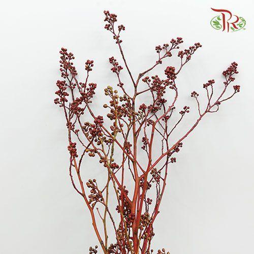 Deng Tai - Green / Red《灯台》-Green / Red-China-prflorist.com.my