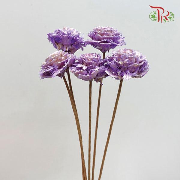 Dry Aeschynomene - Purple (Medium) 5 Stems-Purple-China-prflorist.com.my