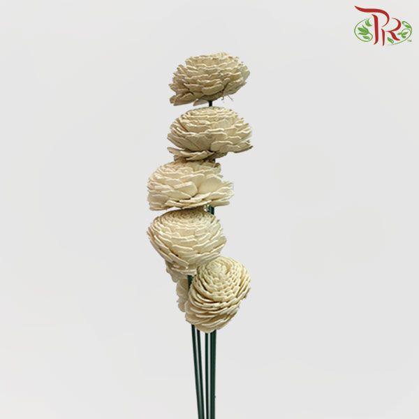 Dry Aeschynomene Small - Light Grey (5 Stems)-Grey-China-prflorist.com.my