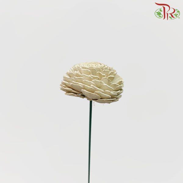 Dry Aeschynomene Small - Light Grey (5 Stems)-Grey-China-prflorist.com.my