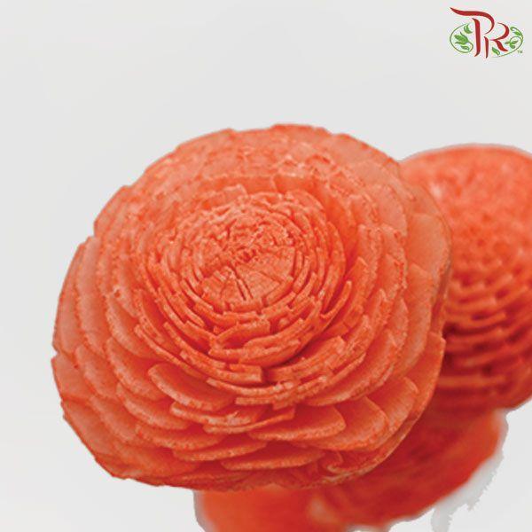 Dry Aeschynomene Small - Orange (5 Stems)-Orange-China-prflorist.com.my