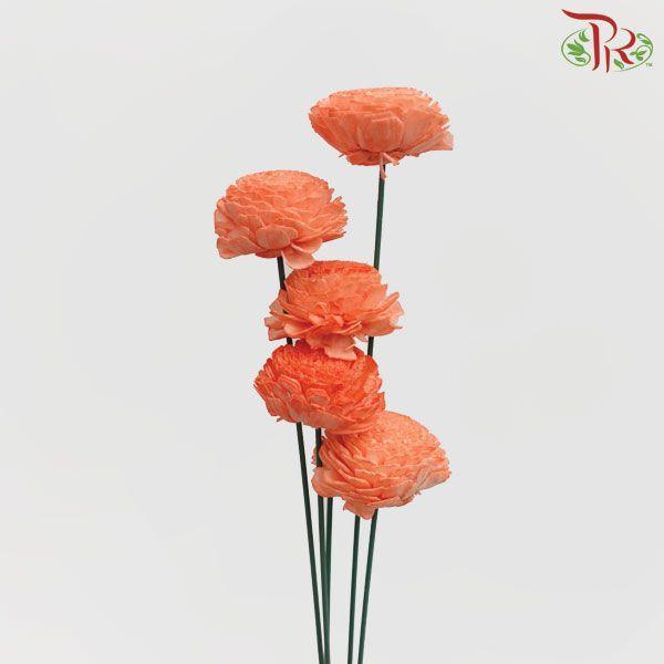 Dry Aeschynomene Small - Orange (5 Stems)-Orange-China-prflorist.com.my