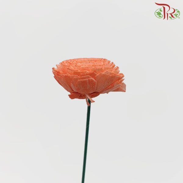 Dry Aeschynomene Small - Orange (5 Stems)-Orange-China-prflorist.com.my