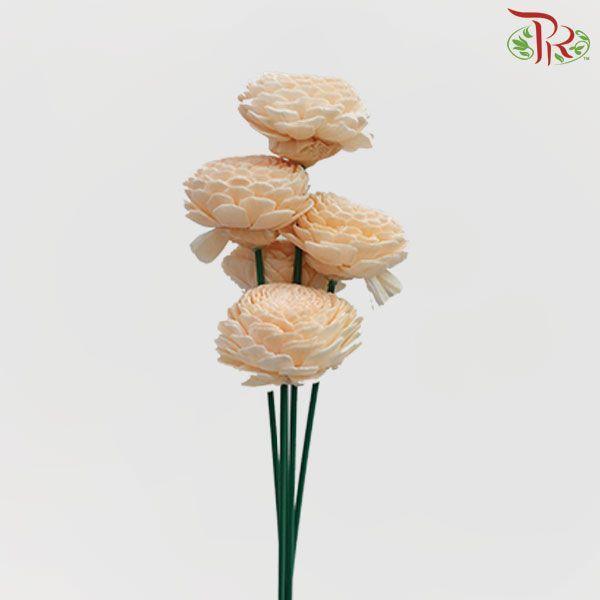 Dry Aeschynomene Small - Peach (5 Stems)-Peach-China-prflorist.com.my