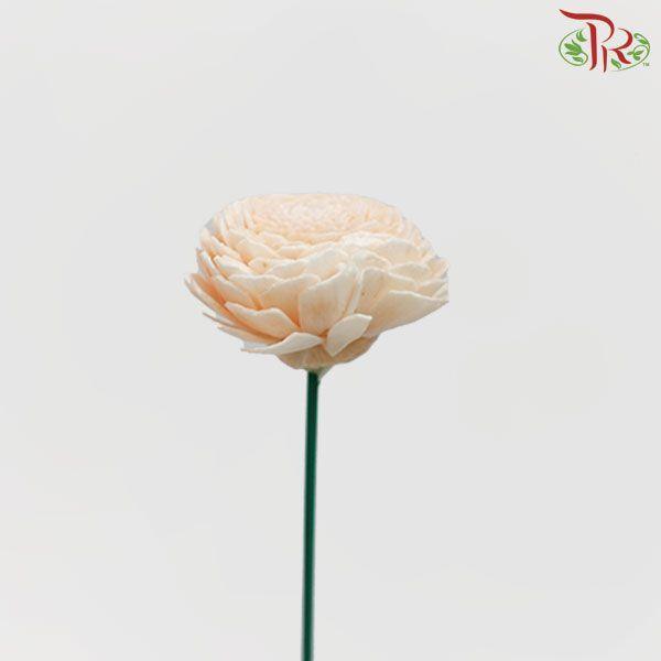 Dry Aeschynomene Small - Peach (5 Stems)-Peach-China-prflorist.com.my