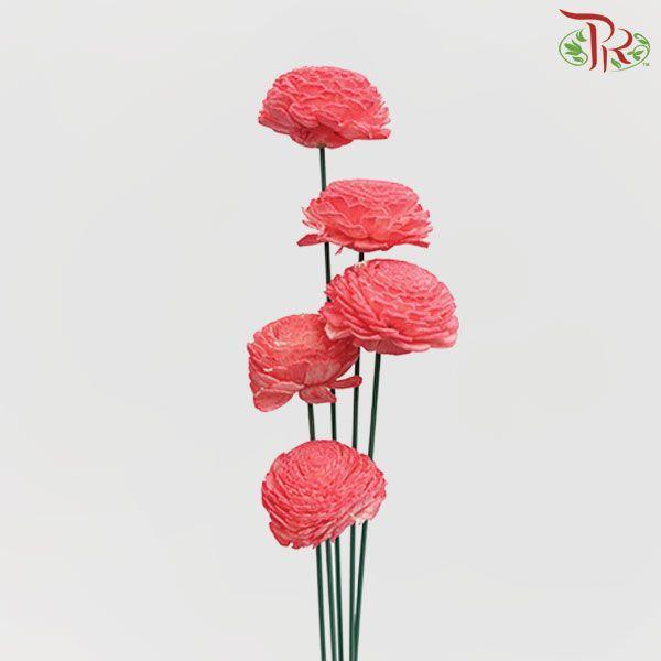 Dry Aeschynomene Small - Red (5 Stems)-Red-China-prflorist.com.my