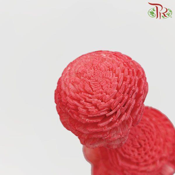 Dry Aeschynomene Small - Red (5 Stems)-Red-China-prflorist.com.my