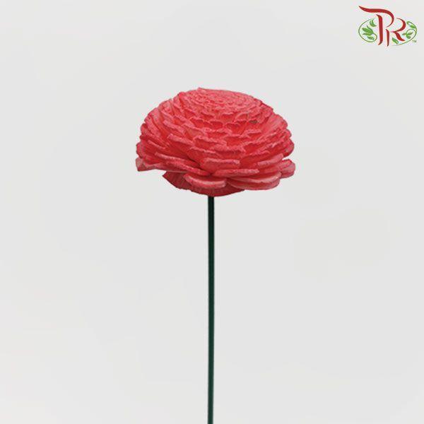 Dry Aeschynomene Small - Red (5 Stems)-Red-China-prflorist.com.my