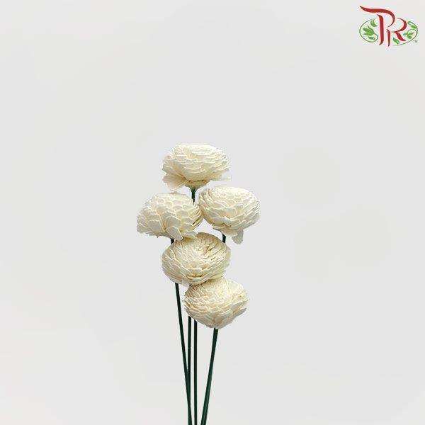 Dry Aeschynomene Small - White (5 Stems)-White-China-prflorist.com.my