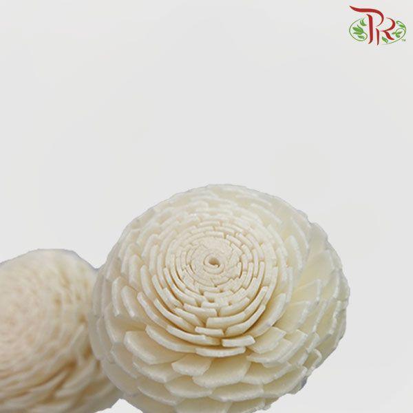 Dry Aeschynomene Small - White (5 Stems)-White-China-prflorist.com.my