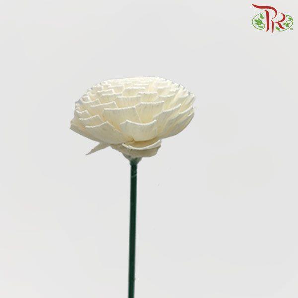 Dry Aeschynomene Small - White (5 Stems)-White-China-prflorist.com.my