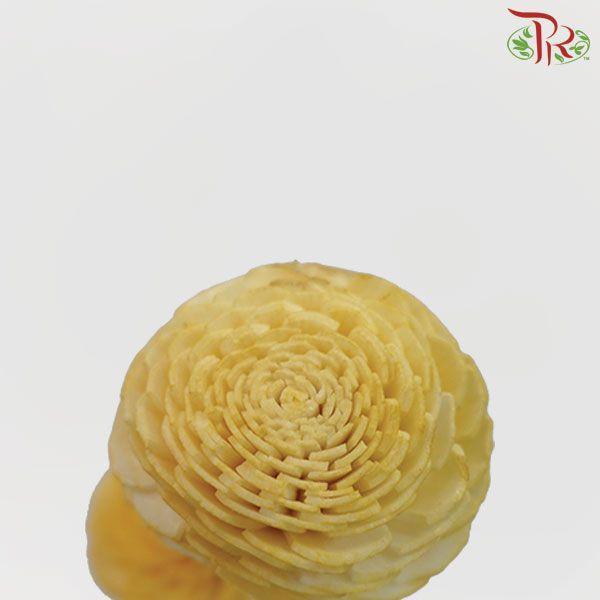 Dry Aeschynomene Small - Yellow (5 Stems)-Yellow-China-prflorist.com.my