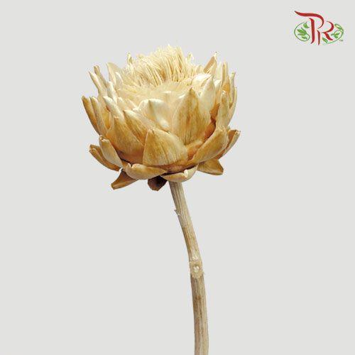 Dry Artichoke - Per Stem-Brown-Italy-prflorist.com.my