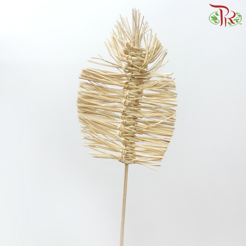Dry Bamboo Boho Cana Leaf Bleached - 21cm (5 Stems)-Bleached-Netherland-prflorist.com.my
