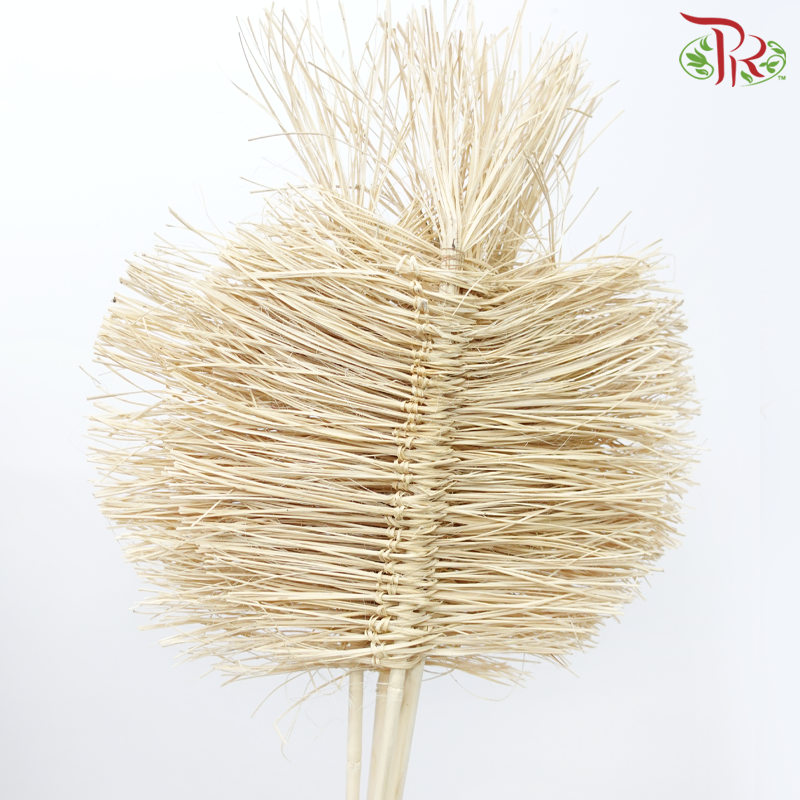 Dry Bamboo Boho Cana Leaf Bleached - 35cm (5 Stems)-Bleached-Netherland-prflorist.com.my