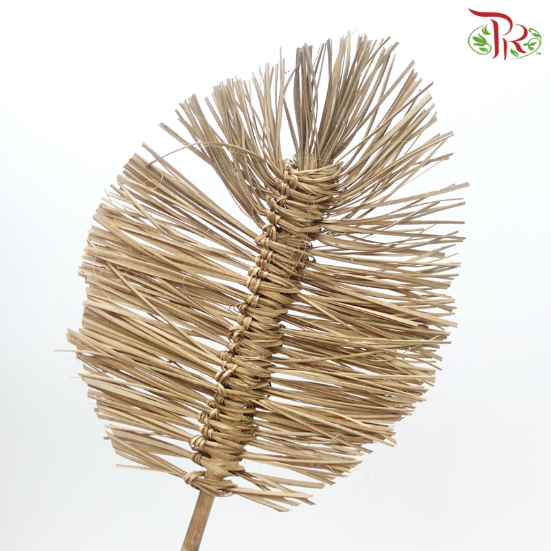 Dry Bamboo Boho Cana Leaf Natural - 25cm (5 Stems)-Natural-Netherland-prflorist.com.my