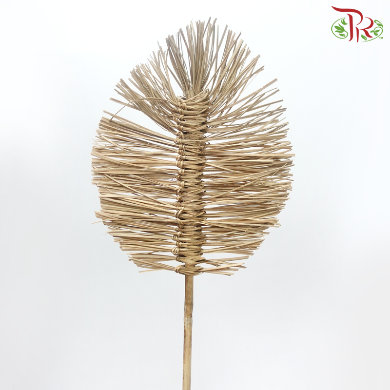 Dry Bamboo Boho Cana Leaf Natural - 25cm (5 Stems)-Natural-Netherland-prflorist.com.my