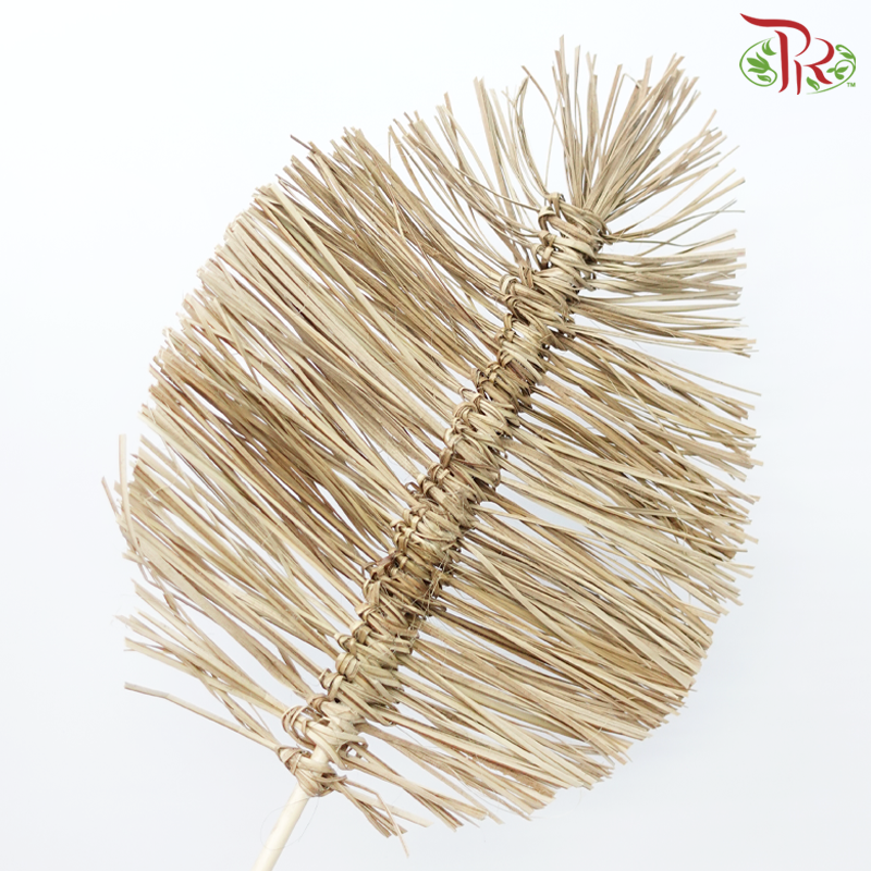 Dry Bamboo Boho Cana Leaf Natural - 35cm (5 Stems)-Natural-Netherland-prflorist.com.my