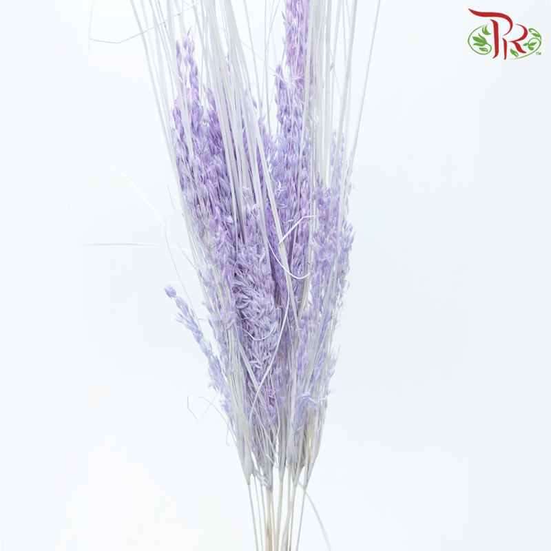 Dry Couch Grass - Light Purple (Per Bunch)-Light Purple-China-prflorist.com.my