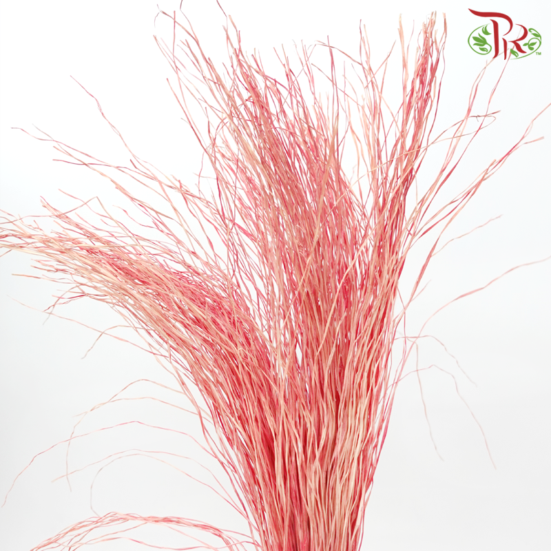 Dry Crazy Grass - Bleached Red (Per Bunch)-Red-Import-prflorist.com.my
