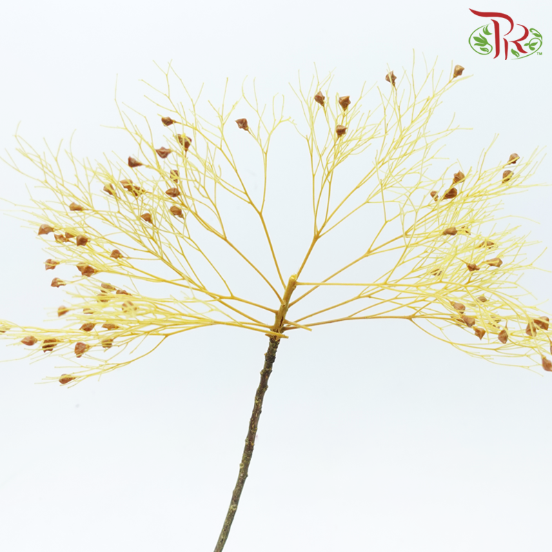 Dry Dream Grass - Yellow (Per Bunch)-Yellow-China-prflorist.com.my