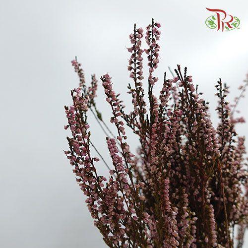 Dry Erica-Italy-prflorist.com.my