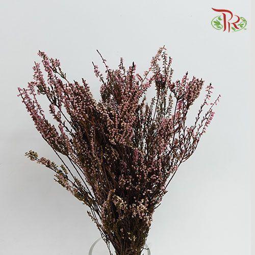 Dry Erica-Italy-prflorist.com.my