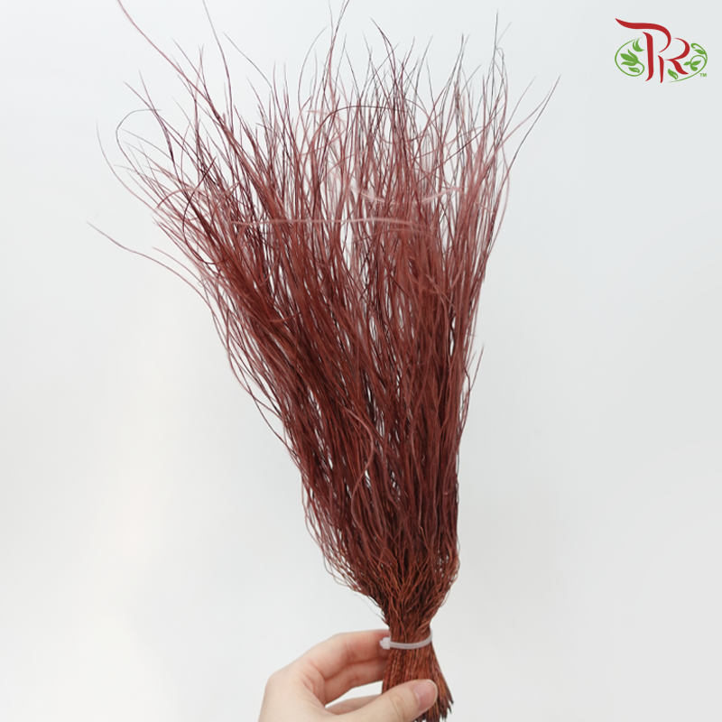 Dry Feather Grass - Dark Red (Per Bunch)-Red-China-prflorist.com.my