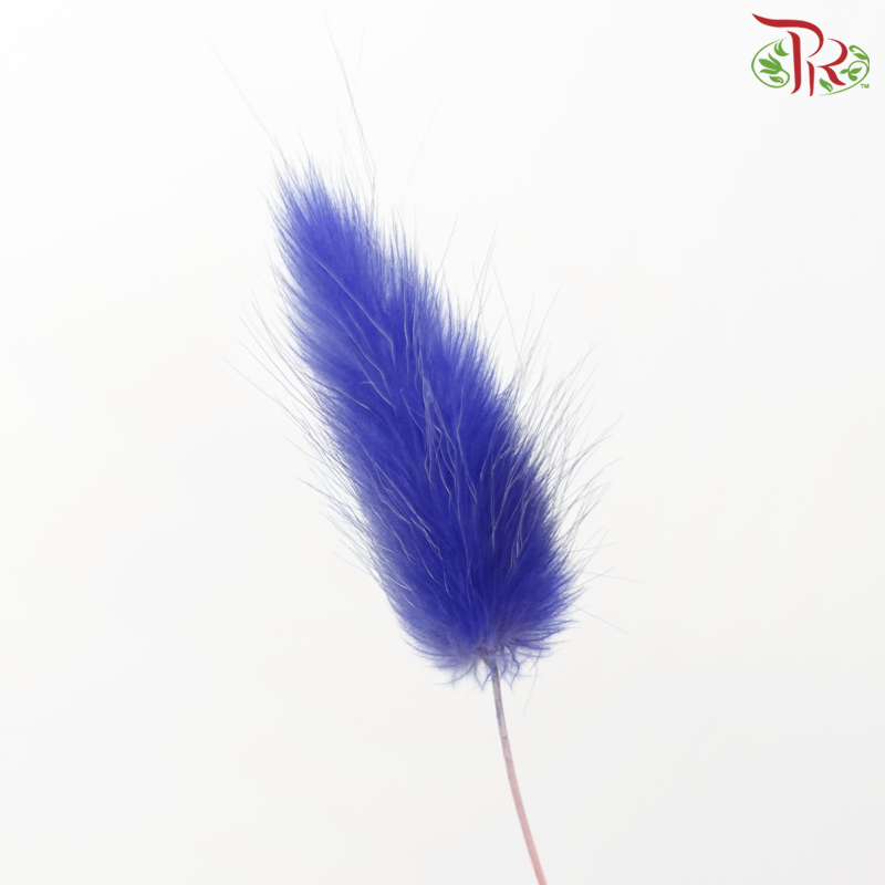 Dry Lagurus Bunny Tail - Purplish Blue (Per Bunch)-Purplish Blue-Pudu Ria Florist-prflorist.com.my