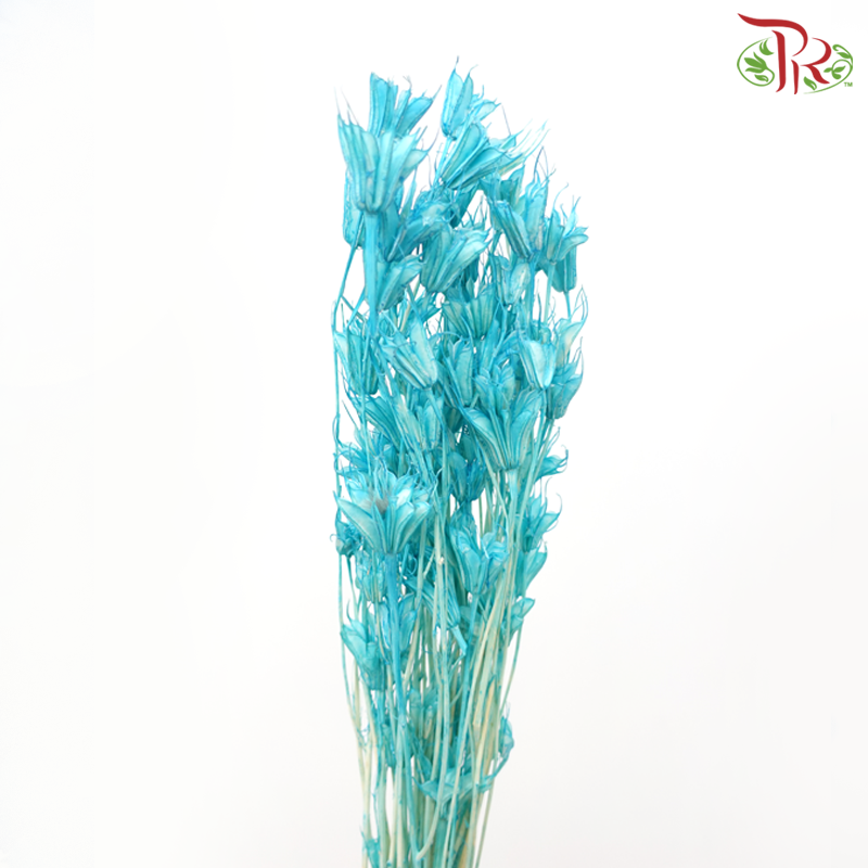 Dry Nigella Pods - Blue (Per Bunch)-Blue-China-prflorist.com.my