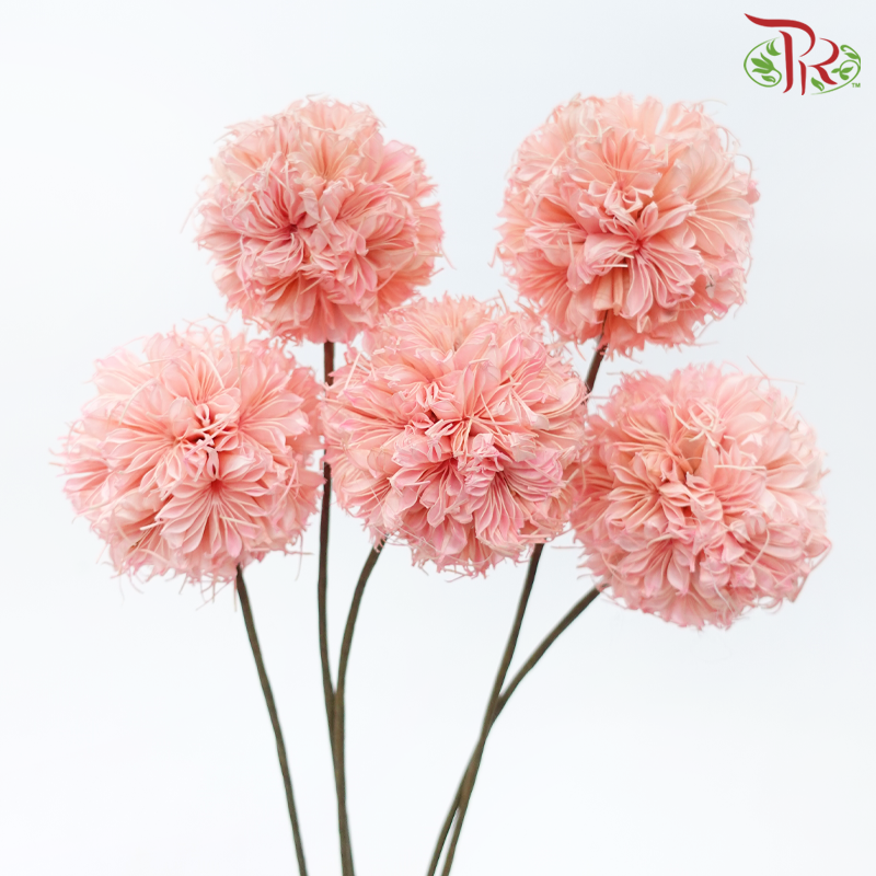 Dry Octagonal Ball - Pink (5 Stems)-Pink-China-prflorist.com.my