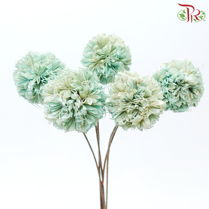 Dry Octagonal Ball - Turquoise (5 Stems)-Turquoise-China-prflorist.com.my